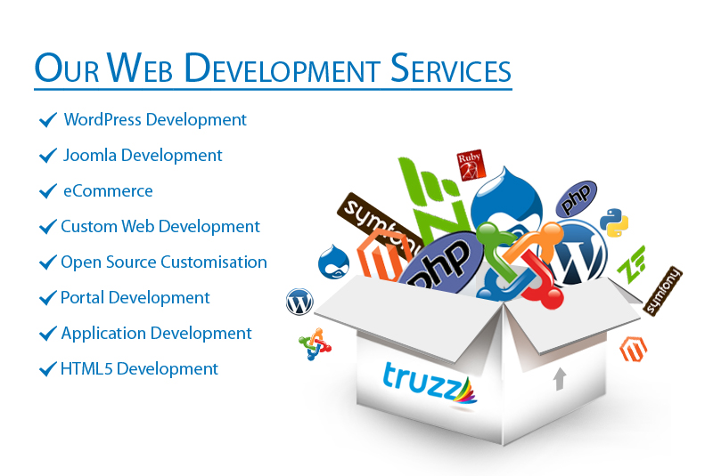 Web Development Skills